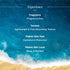 Aqualogica Radiance+ Dewy Sunscreen